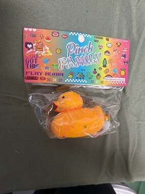 Pinch Family Rubber Ducky Squishy Toy